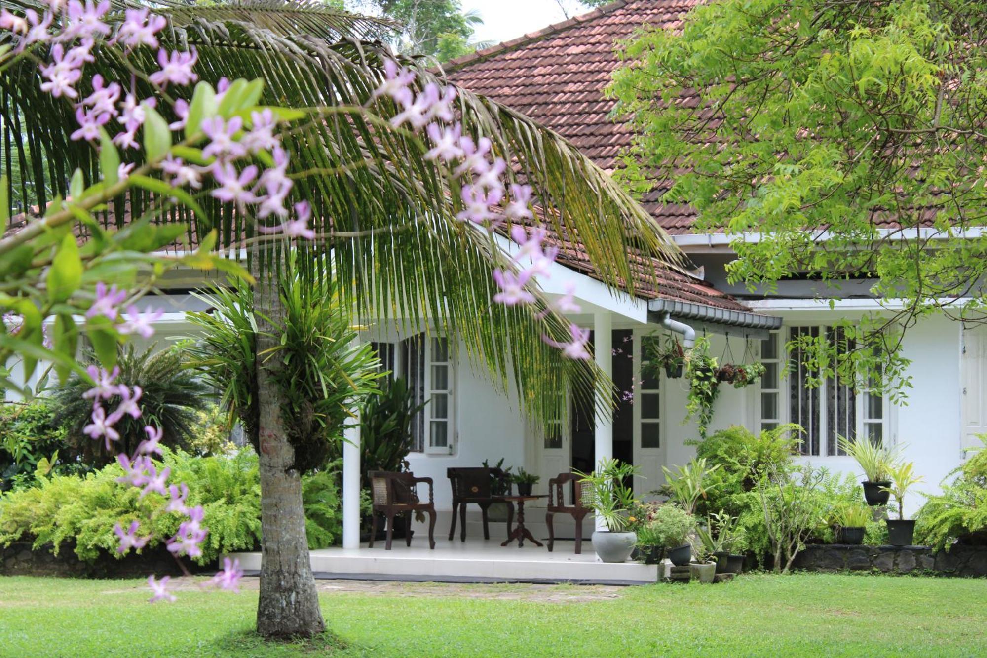 Sun And Surf Rest Hotel Ahangama Ngoại thất bức ảnh