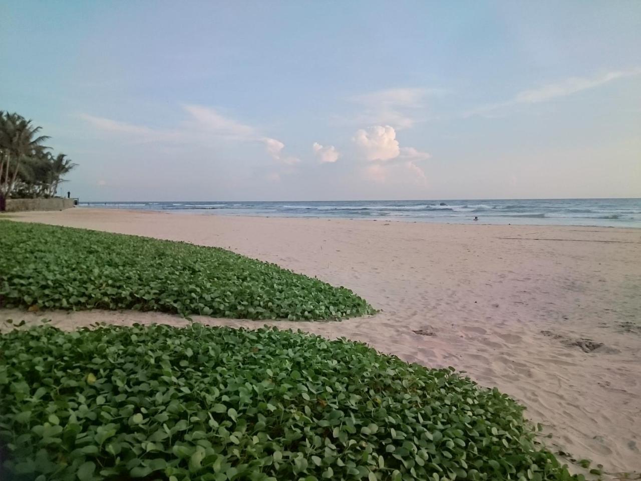 Sun And Surf Rest Hotel Ahangama Ngoại thất bức ảnh